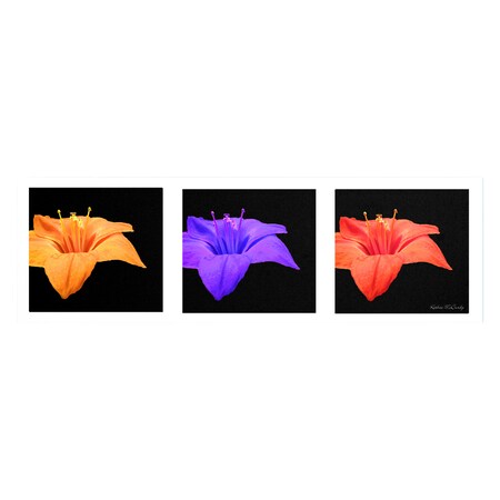 Trademark Fine Art Kathie McCurdy 'Amarillis Tryptic' Canvas Art, 8x24 KM0260-C824GG